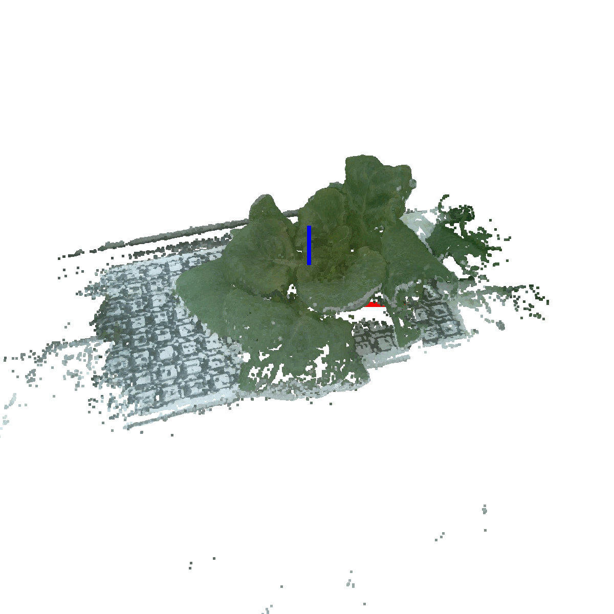 Mass Estimation and Monitoring from 3D Point Clouds